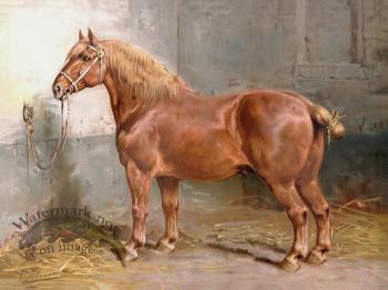 Suffolk Horse by Eerelman